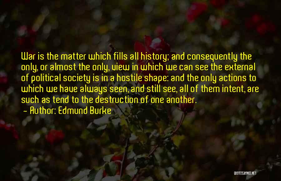 History And War Quotes By Edmund Burke