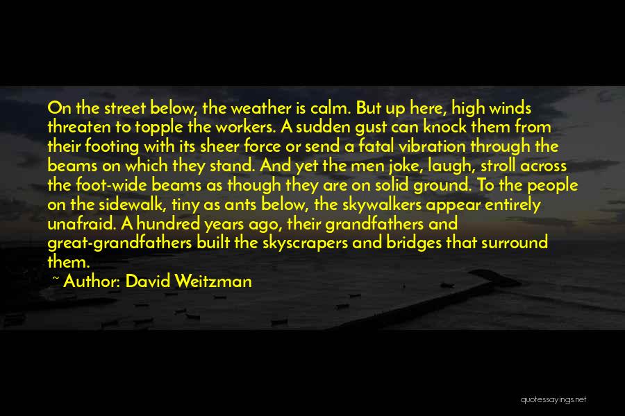 History From Below Quotes By David Weitzman