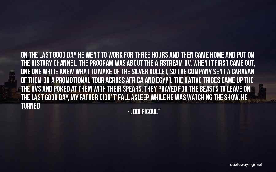 History History Channel Quotes By Jodi Picoult History History Channel Quotes By Jodi Picoult