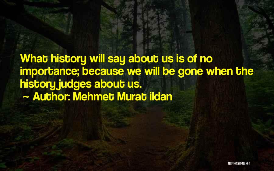 History Importance Quotes By Mehmet Murat Ildan