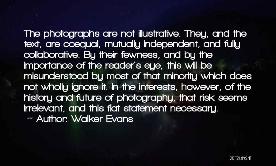 History Importance Quotes By Walker Evans