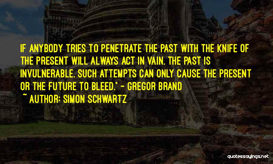 History Is The Past Quotes By Simon Schwartz