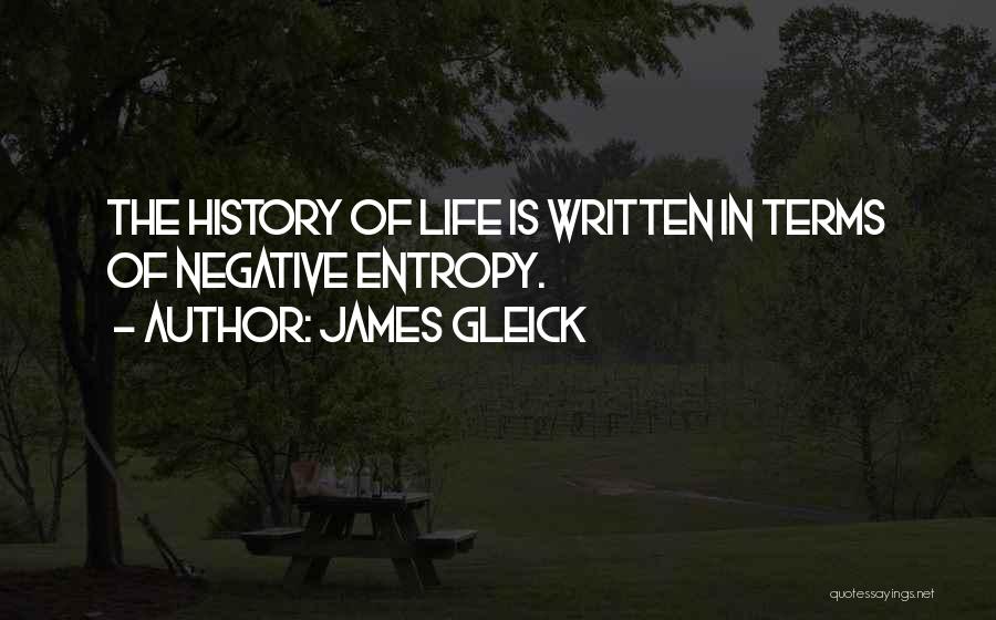 History Is Written Quotes By James Gleick