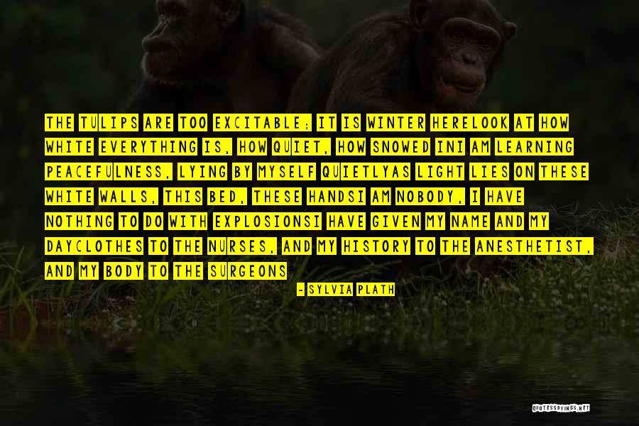 History Lies Quotes By Sylvia Plath History Lies Quotes By Sylvia Plath