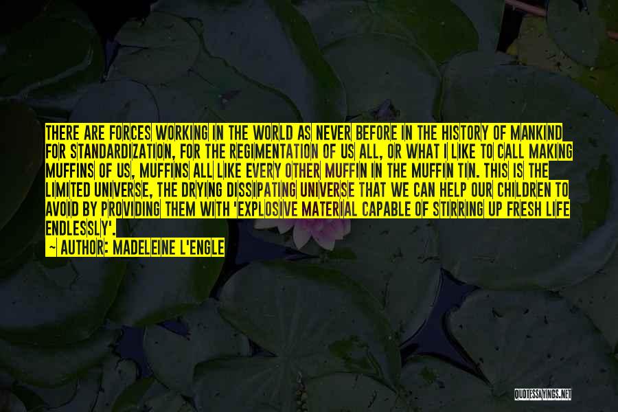 History Making Quotes By Madeleine L'Engle