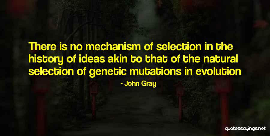 History Of Ideas Quotes By John Gray History Of Ideas Quotes By John Gray