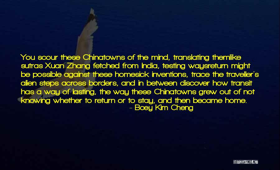 History Of India Quotes By Boey Kim Cheng