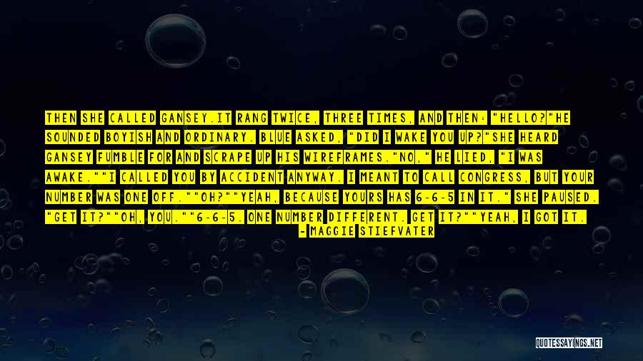History Of Tourism Quotes By Maggie Stiefvater History Of Tourism Quotes By Maggie Stiefvater