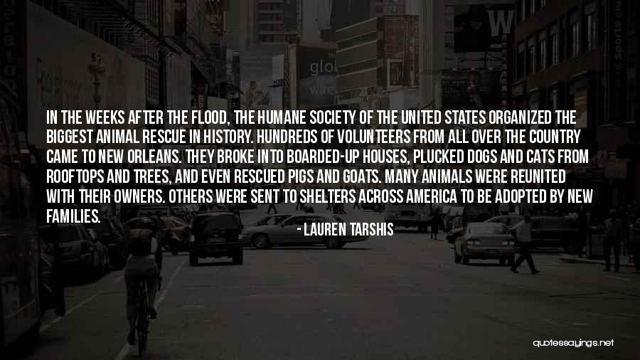 History Of United States Quotes By Lauren Tarshis History Of United States Quotes By Lauren Tarshis