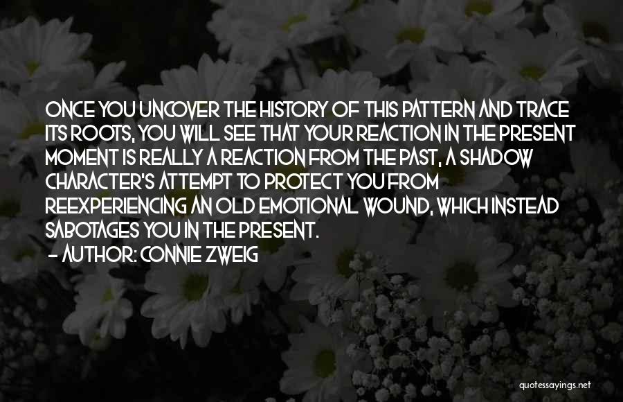 History Past Present Quotes By Connie Zweig