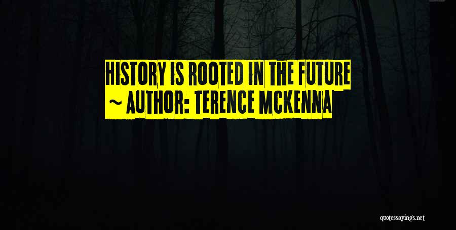 History Quotes By Terence McKenna