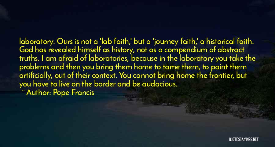 History Revealed Quotes By Pope Francis