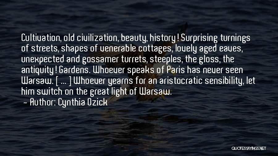 History Speaks For Itself Quotes By Cynthia Ozick