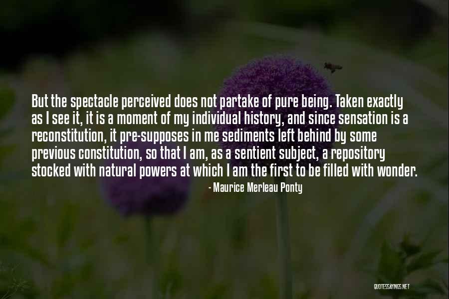 History Subject Quotes By Maurice Merleau Ponty