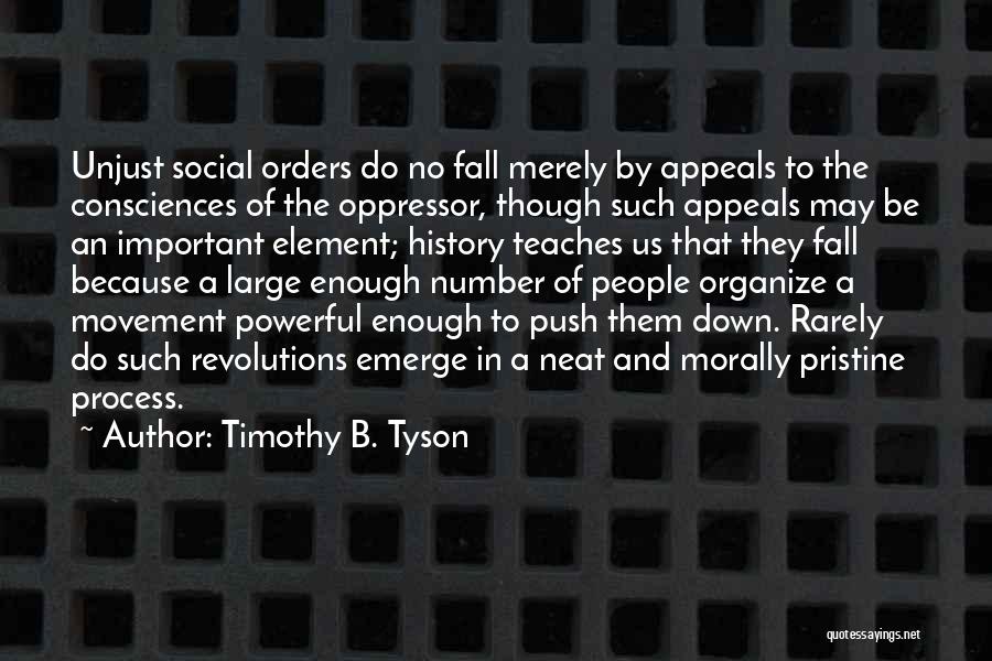 History Teaches Us Quotes By Timothy B. Tyson