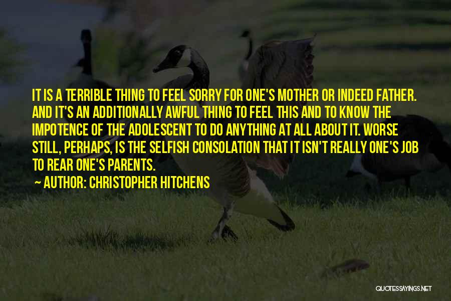 Hitchens Christopher Quotes By Christopher Hitchens