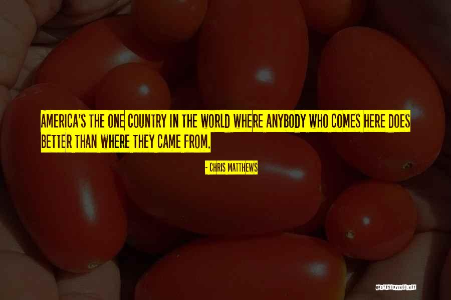 Hitchensartwork Quotes By Chris Matthews Hitchensartwork Quotes By Chris Matthews