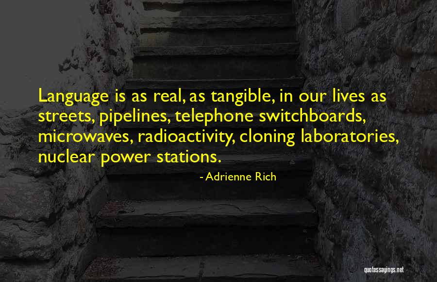 Hitkari Sugar Quotes By Adrienne Rich Hitkari Sugar Quotes By Adrienne Rich