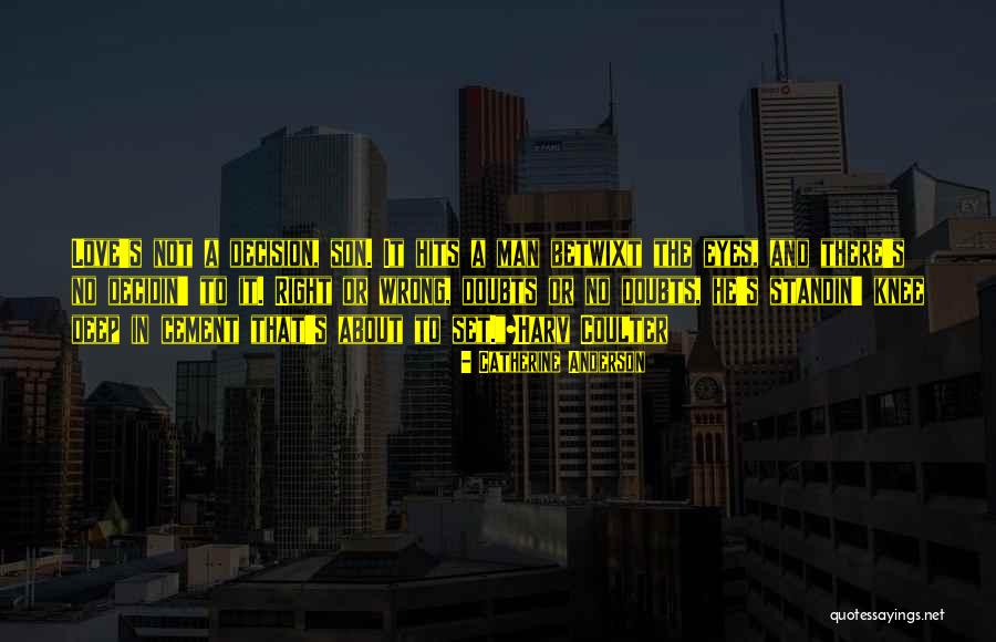 Hits Quotes By Catherine Anderson Hits Quotes By Catherine Anderson