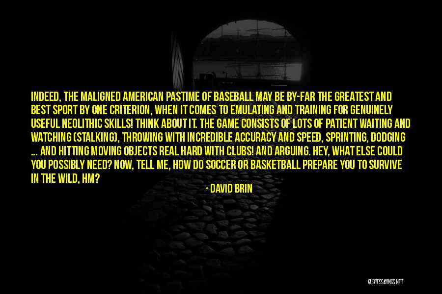 Hitting A Baseball Quotes By David Brin