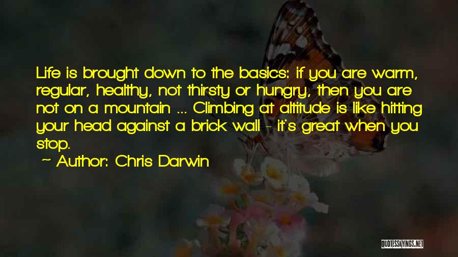 Hitting A Wall Quotes By Chris Darwin