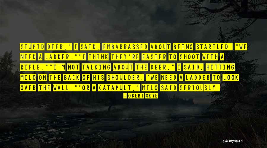 Hitting A Wall Quotes By Obert Skye Hitting A Wall Quotes By Obert Skye