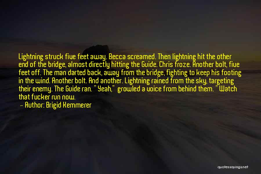 Hitting Back Quotes By Brigid Kemmerer