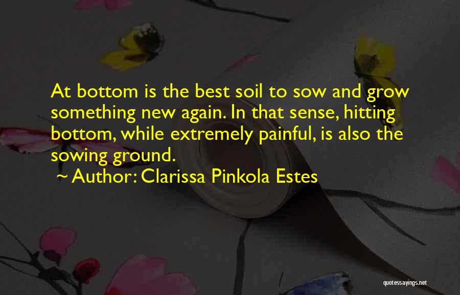 Hitting Bottom Quotes By Clarissa Pinkola Estes