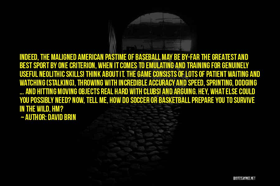 Hitting In Baseball Quotes By David Brin