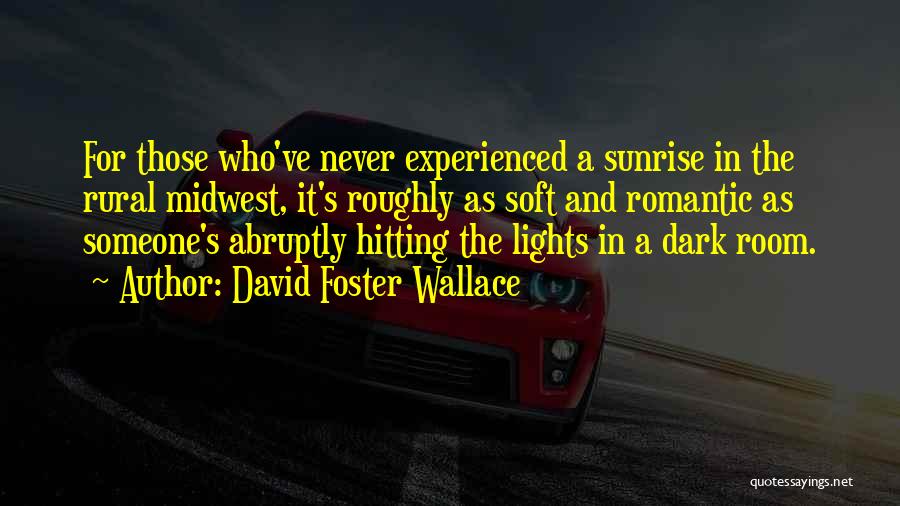 Hitting Someone Quotes By David Foster Wallace