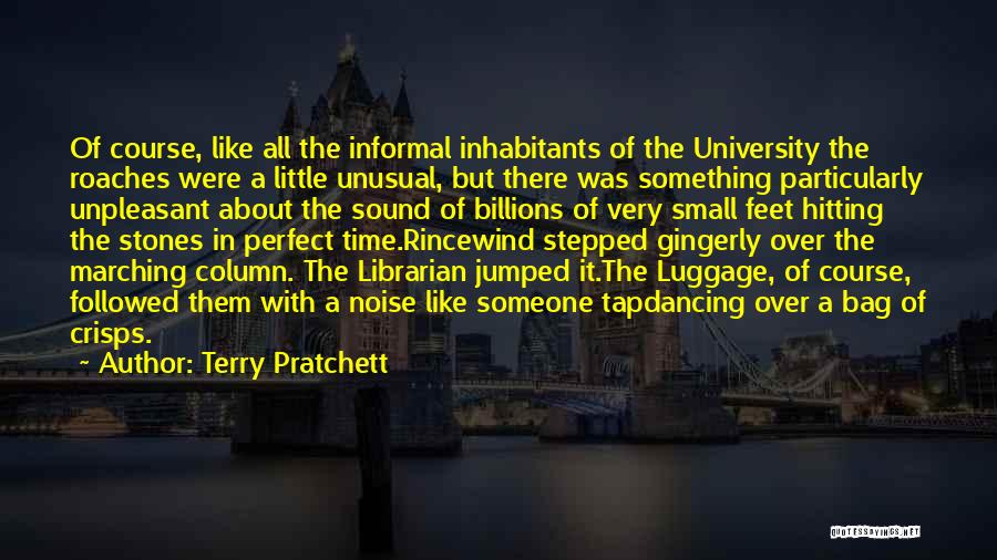 Hitting Someone Quotes By Terry Pratchett