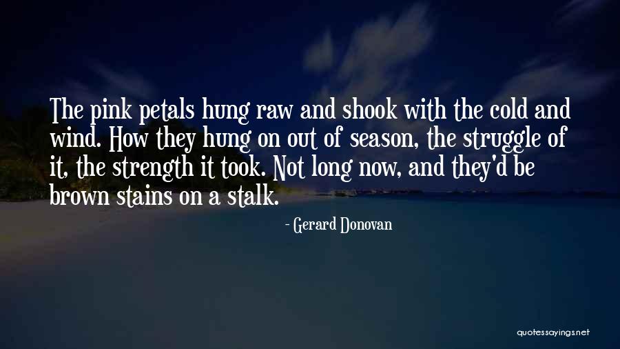 Hitwall South Quotes By Gerard Donovan Hitwall South Quotes By Gerard Donovan