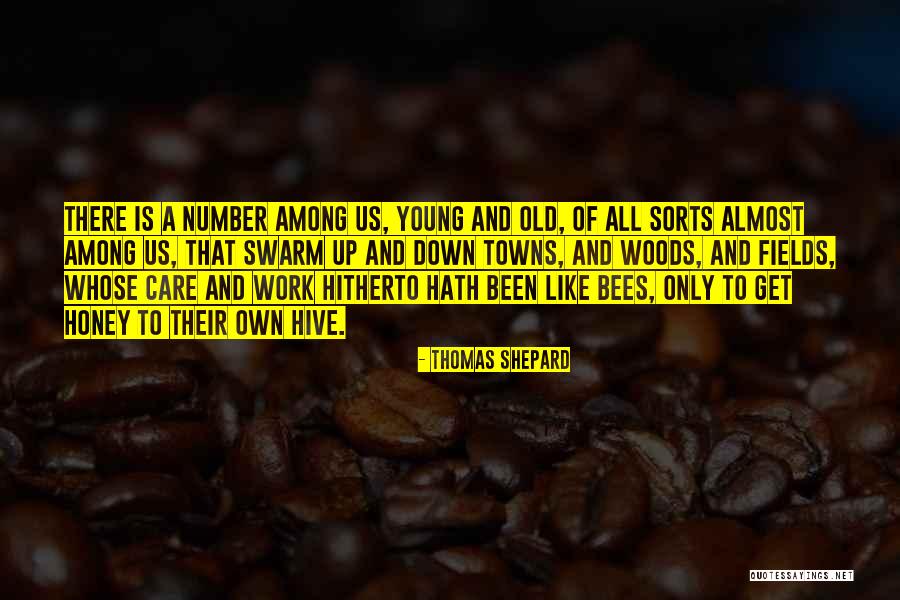 Hive Like Quotes By Thomas Shepard Hive Like Quotes By Thomas Shepard