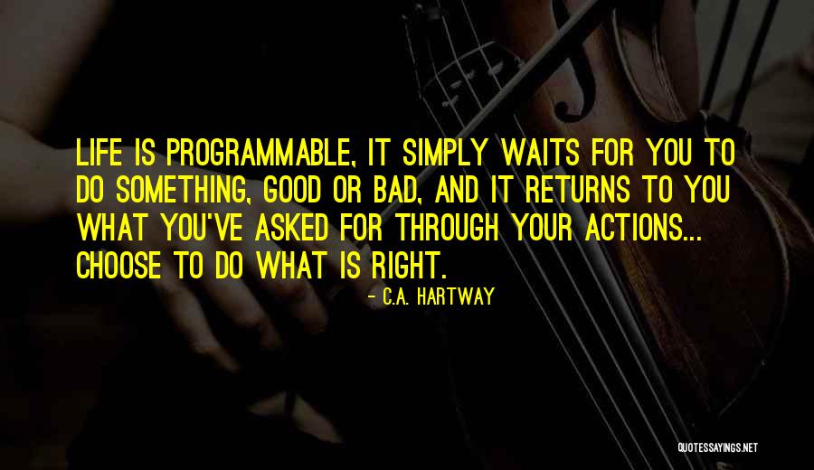 Hives In Children Quotes By C.A. Hartway Hives In Children Quotes By C.A. Hartway