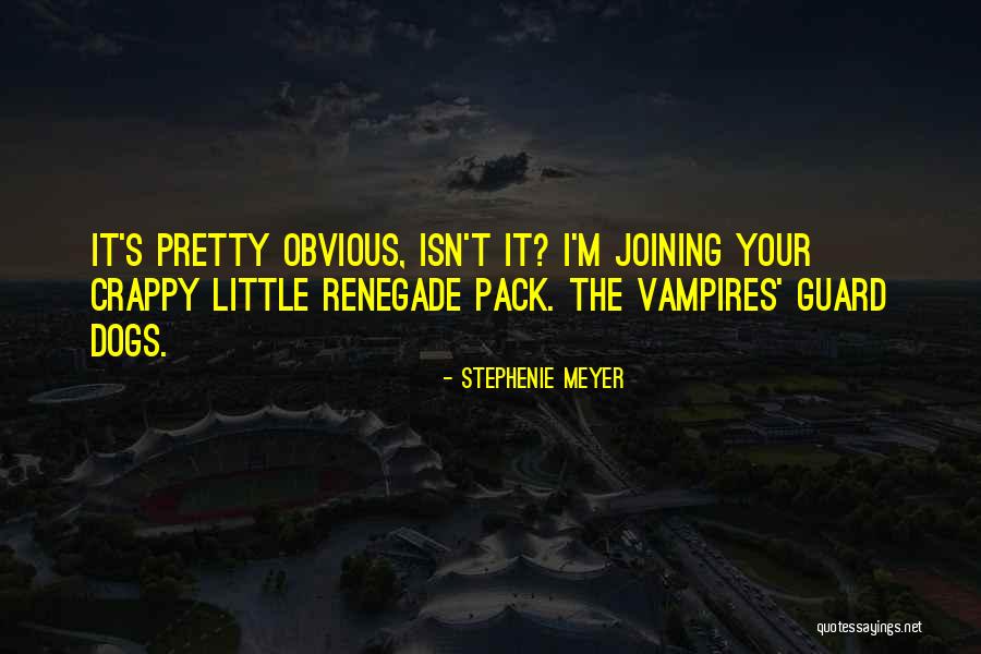 Hivis Quotes By Stephenie Meyer Hivis Quotes By Stephenie Meyer