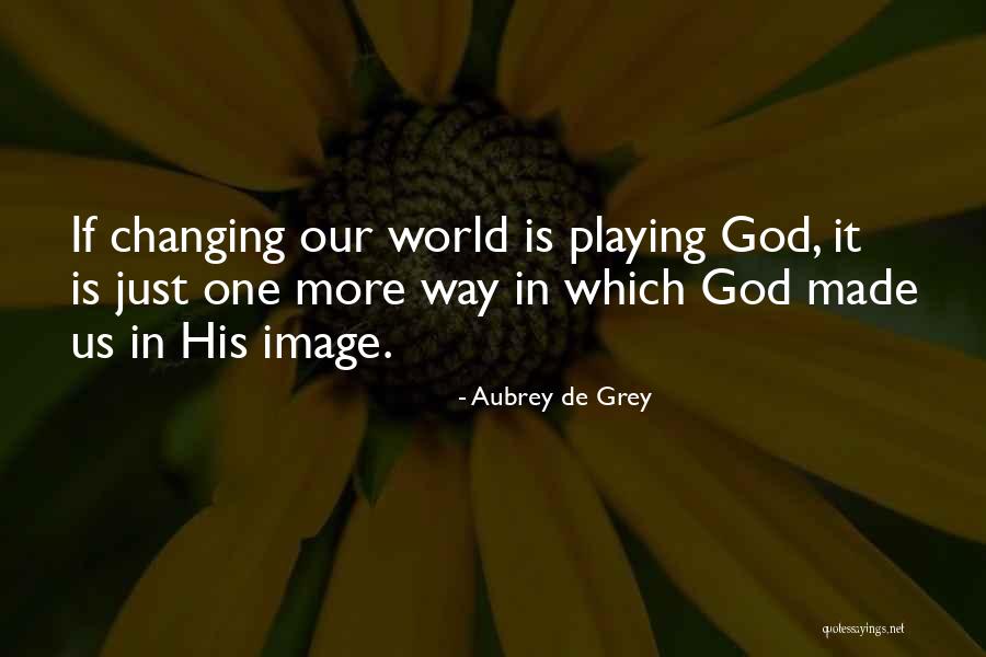 Hixton Quotes By Aubrey De Grey Hixton Quotes By Aubrey De Grey
