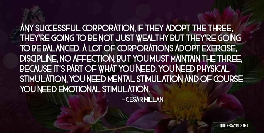 Hjarta R Ing Quotes By Cesar Millan Hjarta R Ing Quotes By Cesar Millan