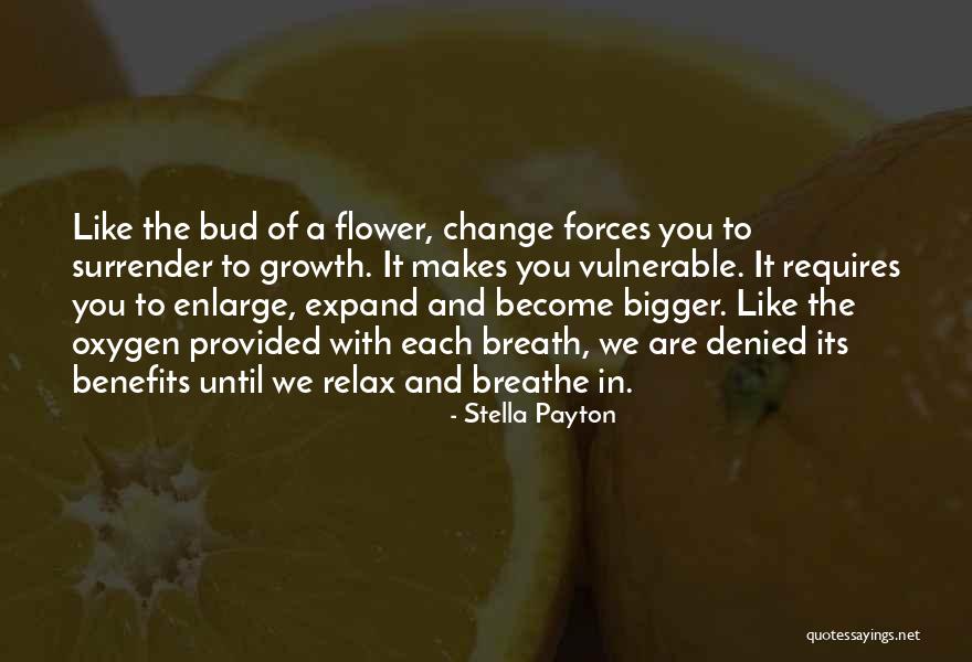 Hjejlen Quotes By Stella Payton Hjejlen Quotes By Stella Payton