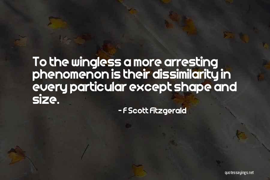 Hjortsberg Falling Quotes By F Scott Fitzgerald Hjortsberg Falling Quotes By F Scott Fitzgerald