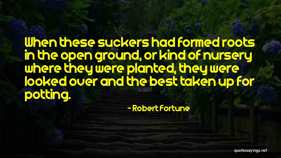 Hkembl Quotes By Robert Fortune Hkembl Quotes By Robert Fortune