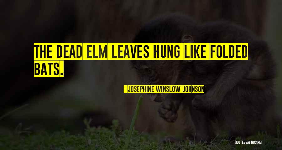 Hladna Predjela Quotes By Josephine Winslow Johnson Hladna Predjela Quotes By Josephine Winslow Johnson