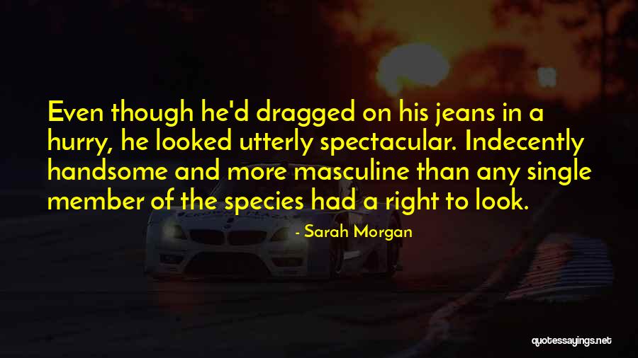 Hladni Bife Quotes By Sarah Morgan Hladni Bife Quotes By Sarah Morgan