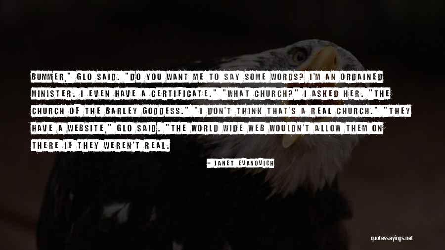 Hlavaty Robert Quotes By Janet Evanovich