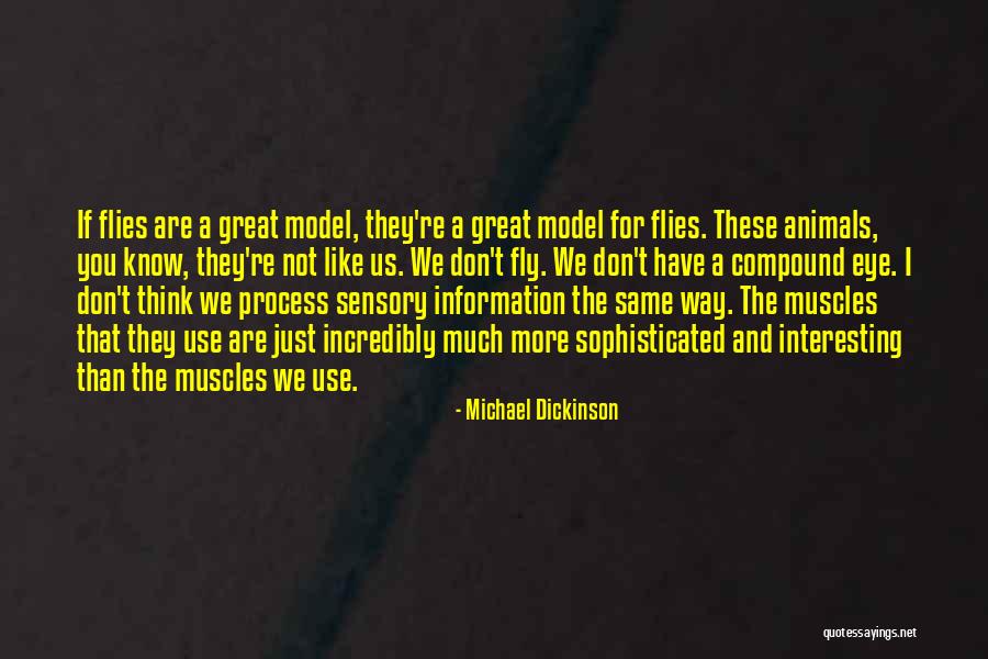 Hlavne Jedla Quotes By Michael Dickinson Hlavne Jedla Quotes By Michael Dickinson