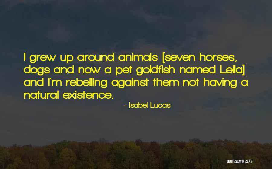 Hlavy Roubu Quotes By Isabel Lucas Hlavy Roubu Quotes By Isabel Lucas