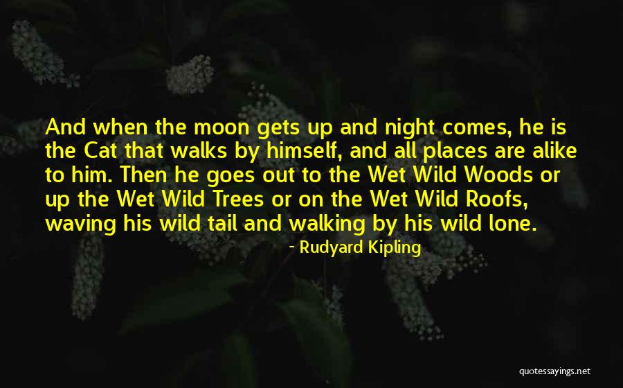 Hmong Mom Quotes By Rudyard Kipling