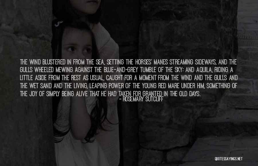 Hnuti Quotes By Rosemary Sutcliff Hnuti Quotes By Rosemary Sutcliff