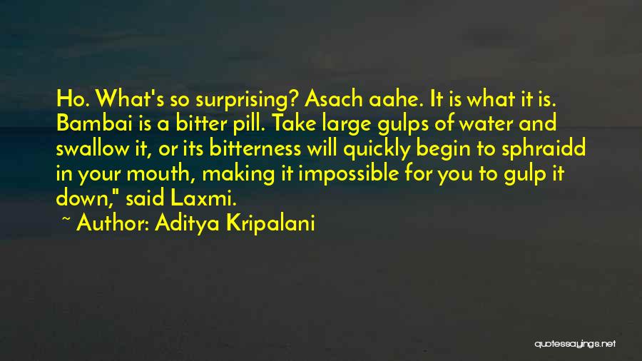 Ho Ho Ho Quotes By Aditya Kripalani