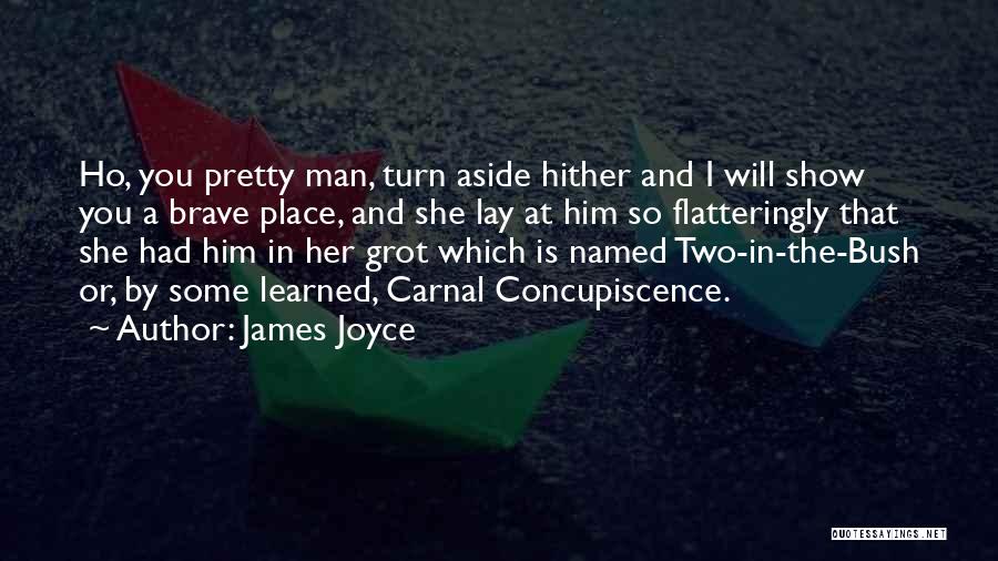 Ho Ho Ho Quotes By James Joyce