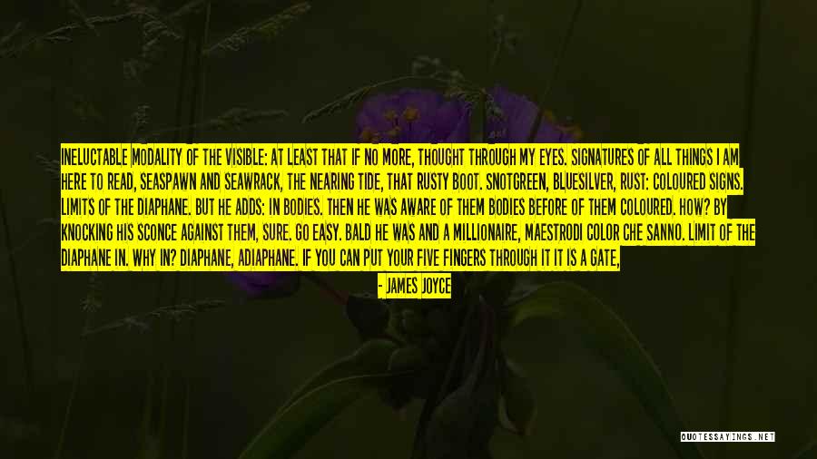 Hobbes Federalism Quotes By James Joyce Hobbes Federalism Quotes By James Joyce